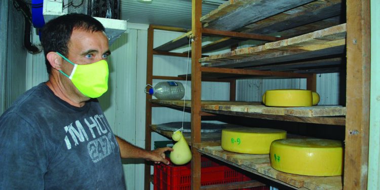 El Rey del Queso en Artemisa, Cuba, es inocente