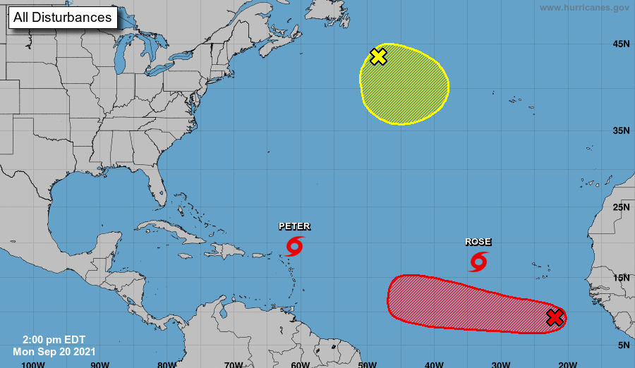 Ni Peter ni Rose llegarán a Cuba