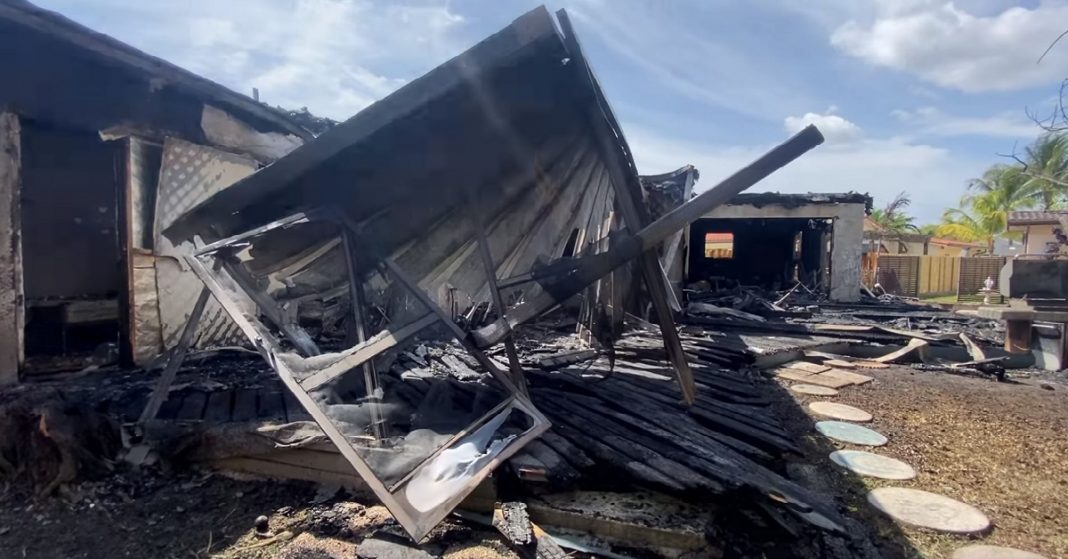 Perro salva a familia de morir en incendio en Miami