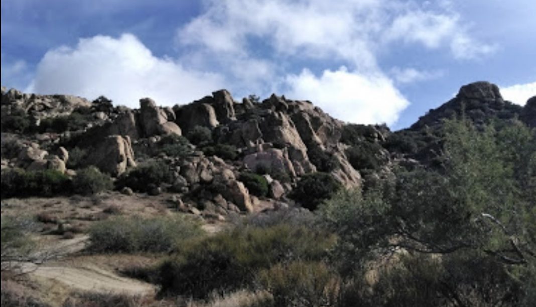 Migrantes cubanos son rescatados en zona remota de los EE.UU.