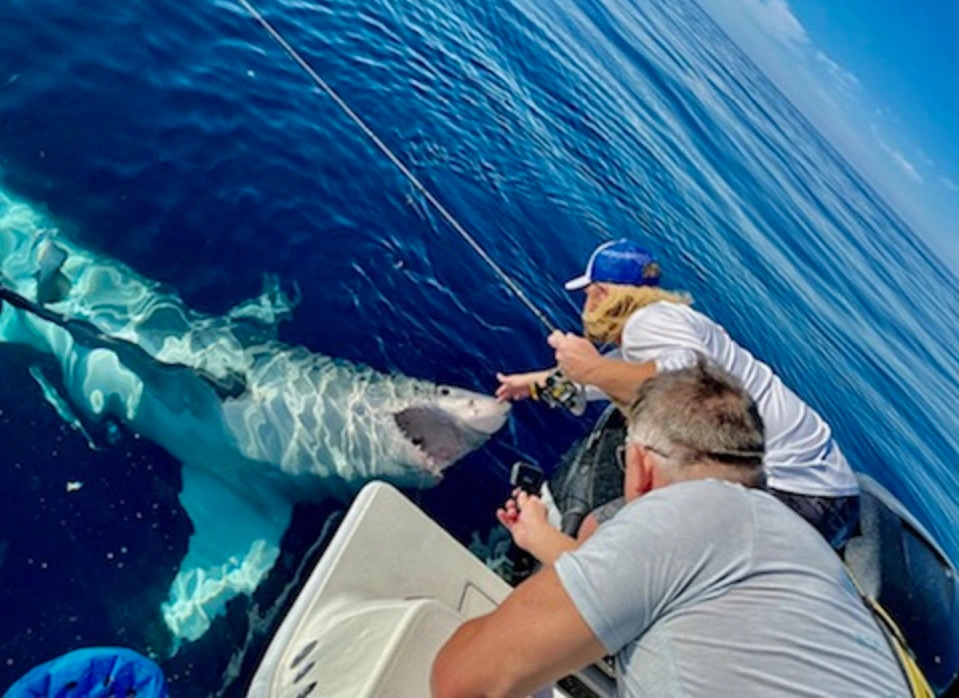 El pescador se acercó demasiado al tiburón y fue mordido.