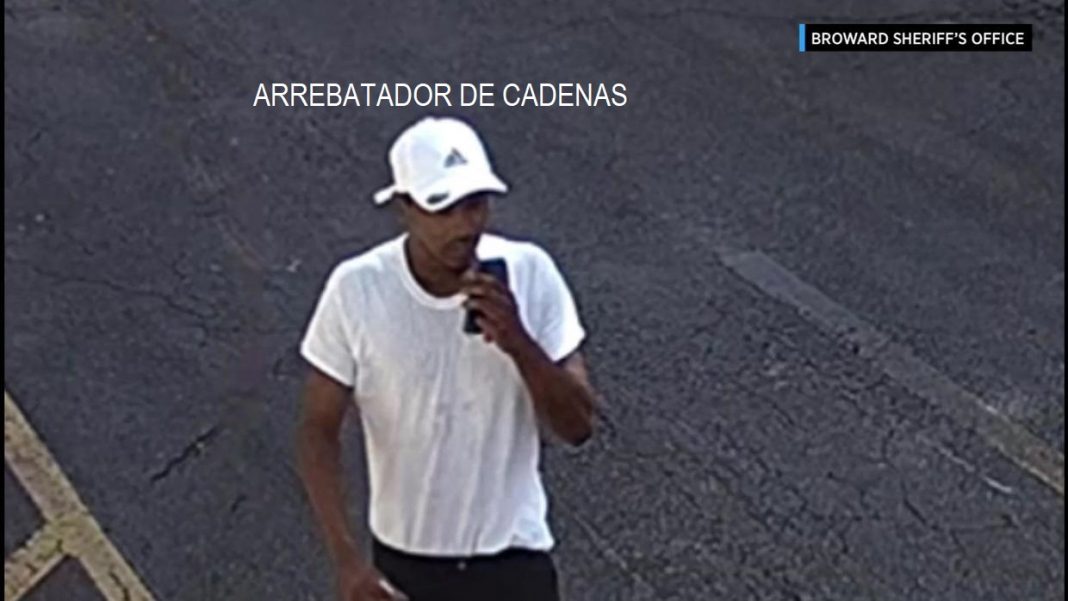 Mujer se defiende con uñas y dientes de asaltante en la Florida