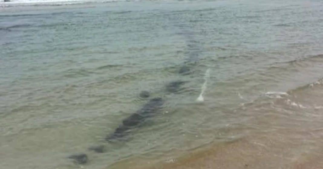 Otro barco aparece enterrado en una playa de la Florida.