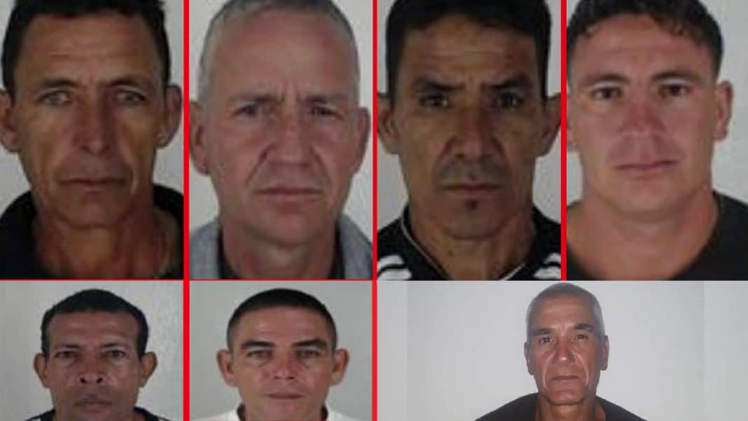 Continúan los asesinatos, robos, sacrificio de ganado en Cuba