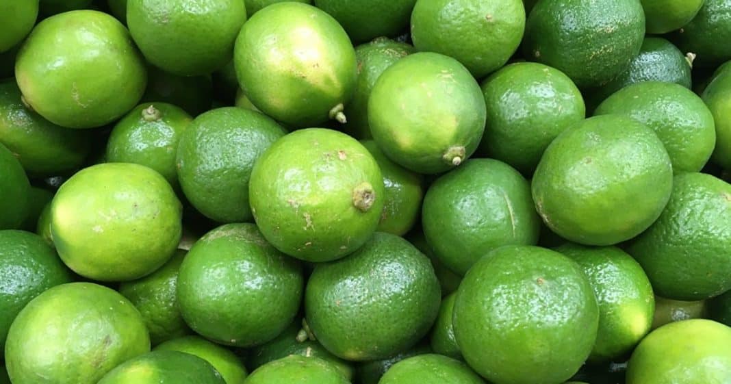 Limón