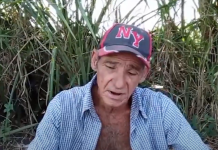 Campesinos cubanos viven entre el robo y la inflación: el campo se queda sin gente que quiera trabajarlo campesino cubano en Santiago de Cuba