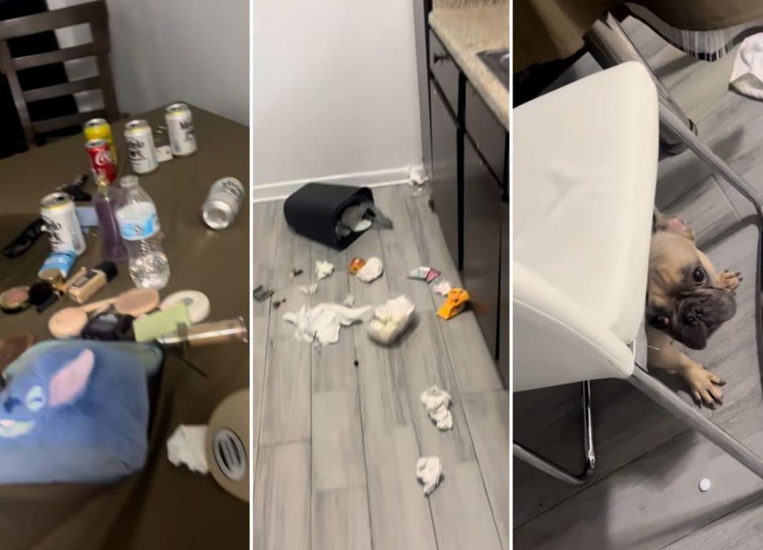 “Que me pague 1.200 dólares”: Chocolate MC pidió prestado un apartamento y lo dejó hecho un desastre