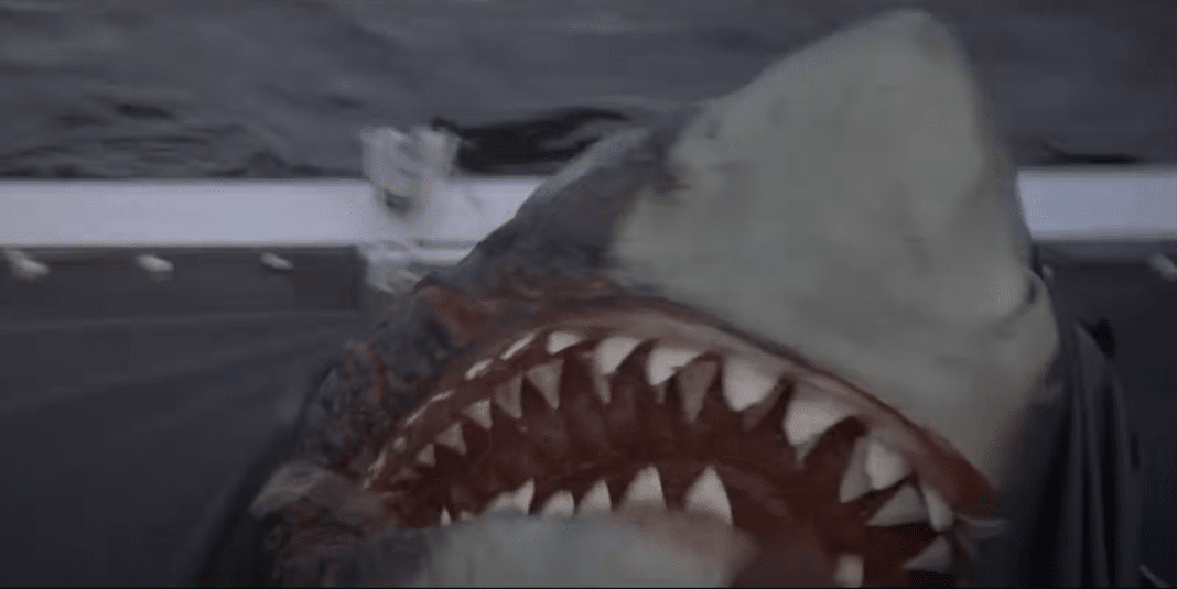 Tiburón de Steven Spielberg será por siempre la mejor película del género.