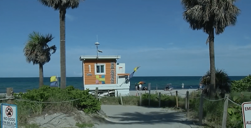 Otro tiburón ataca en la Florida. Esta vez en Hollywood Beach