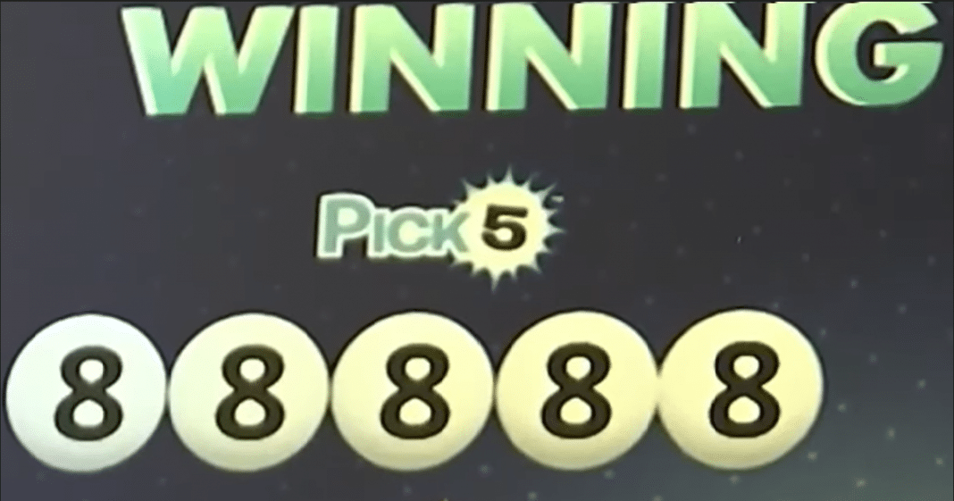 Pick 5 de la Lotería de la Florida saca un extraño número, pero 177 personas lo acertaron