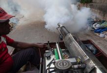 Inmunidad de rebaño: la solución que encontró el MINSAP para resolver epidemia de arbovirosis en Matanzas