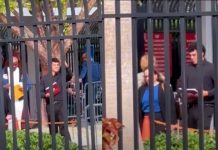 Influencer Carnota explica cómo salió ileso tras cita con ICE en Florida