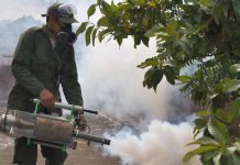 Inicia “intervención sanitaria” en Holguín por incremento de casos de arbovirosis Inicia “intervención sanitaria” en Holguín por incremento de casos de arbovirosis