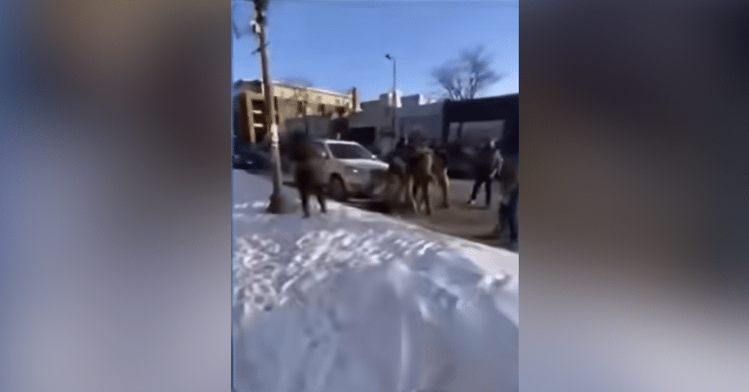 ICE en Minnesota está bajo escrutinio tras la muerte de Alex Jeffrey Pretti y Renee Good.