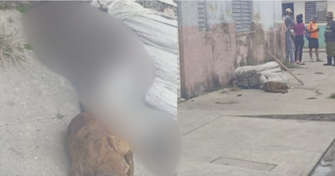 Muere un cienfueguero en la calle.