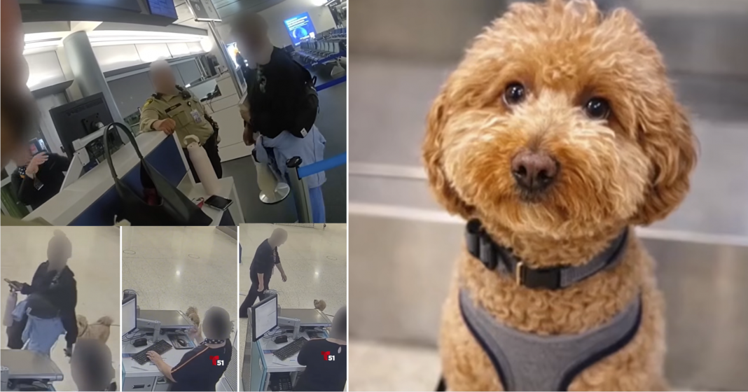 Mujer abandona a su perro en aero`puerto de Las Vegas pero es detenida ahí mismo