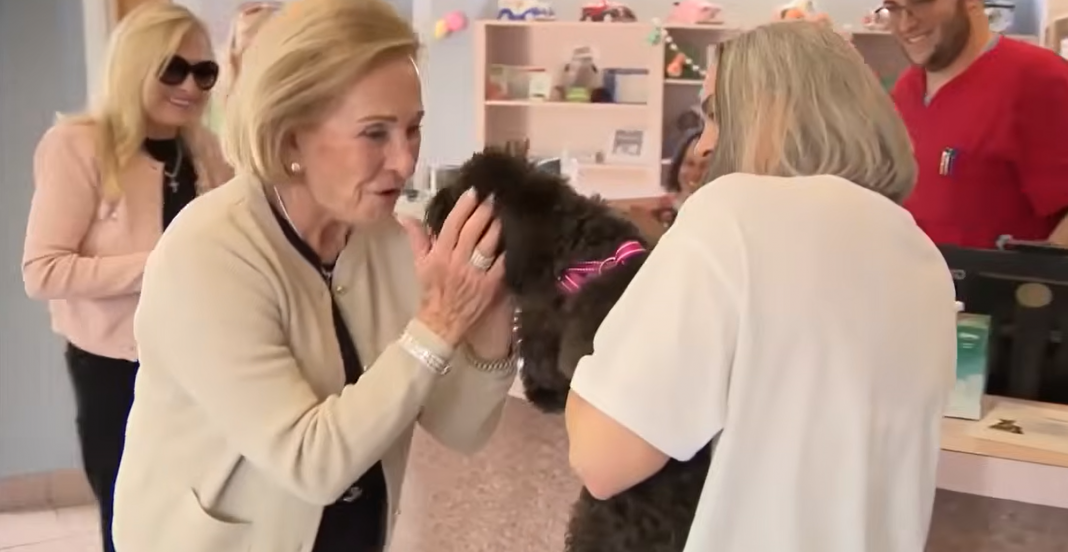 La perrita fue devuelta a su dueña