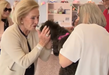 Ladrones «buenos»: Le roban un Bentley con su perrita dentro en Fort Lauderdale, pero esta aparece después La perrita fue devuelta a su dueña