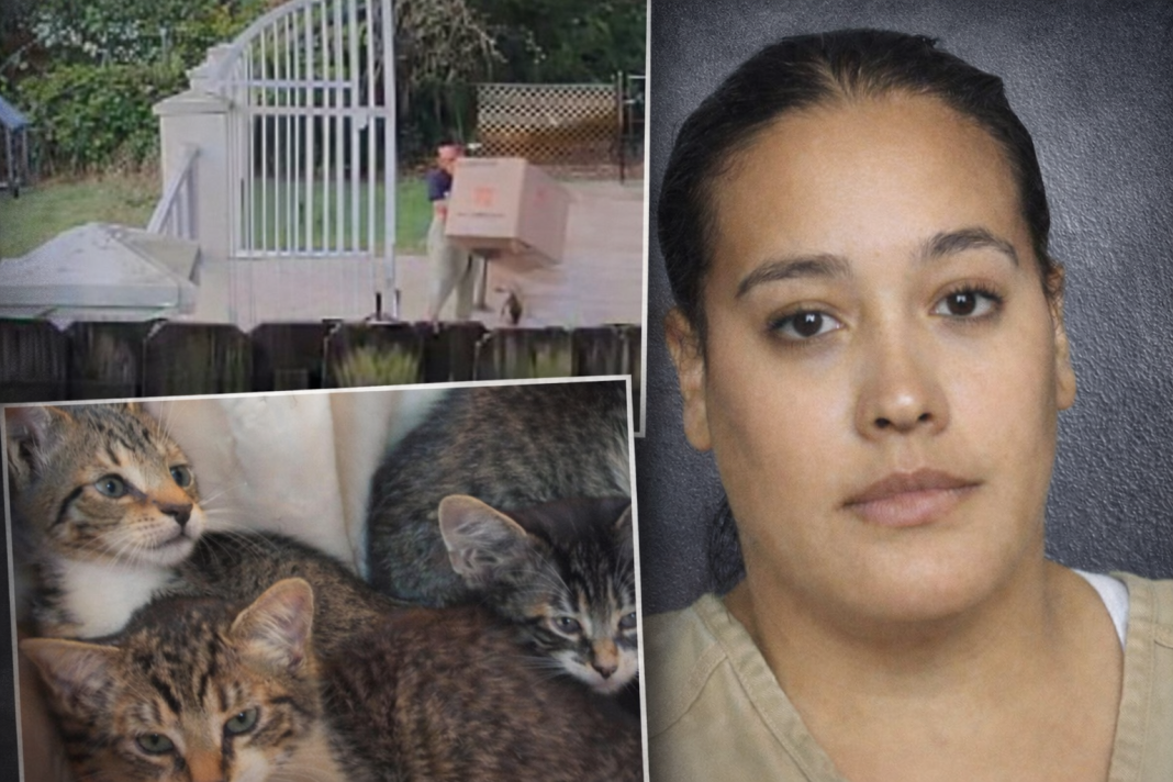 Katherine Luciano es el nombre de la mujer que terminó arrestada en Florida por abandonar gaticos