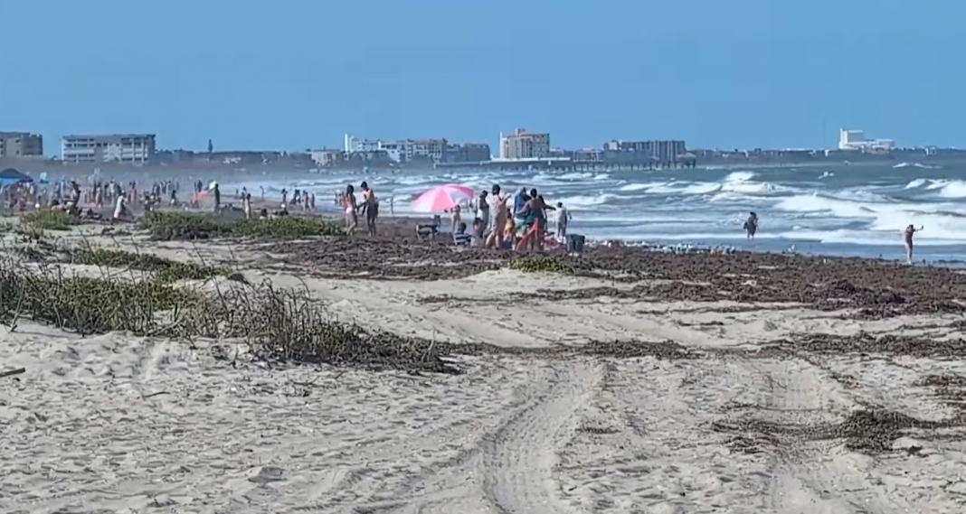 marea de resaca deja dos muertes en Cocoa Beach, Florida