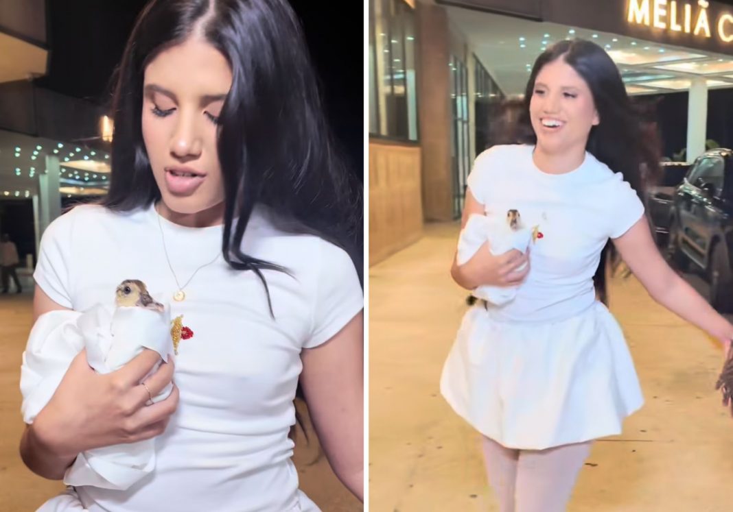 Cantante Melanie Santiler causa polémica por llevar un bebé cisne a su concierto