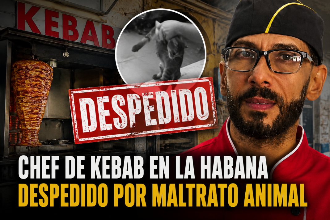 Organización BAC anuncia despido de chef Giorgio Olivera de King Kebab Habana tras denuncia de maltrato a perrita embarazada en La Habana Cuba