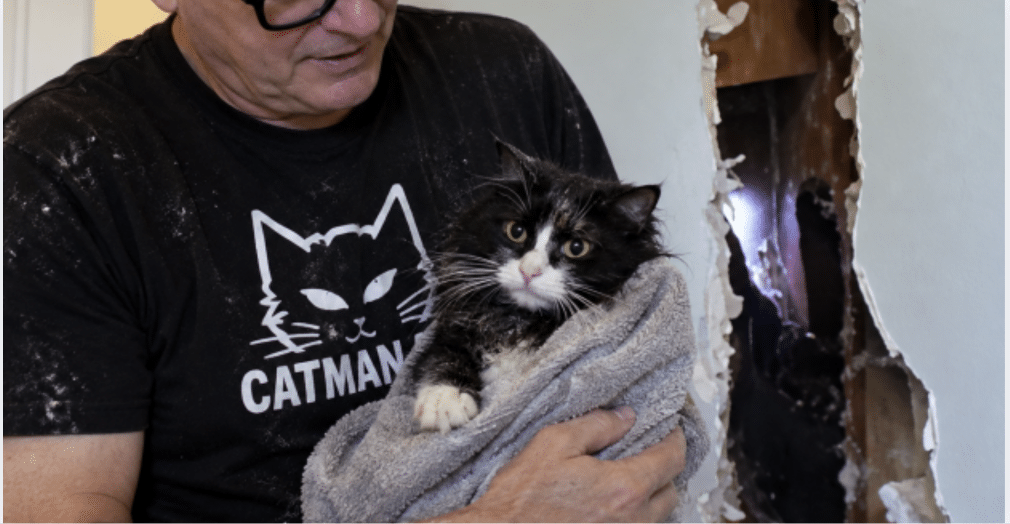 El Catman de Long Island rescata a la gata Lola
